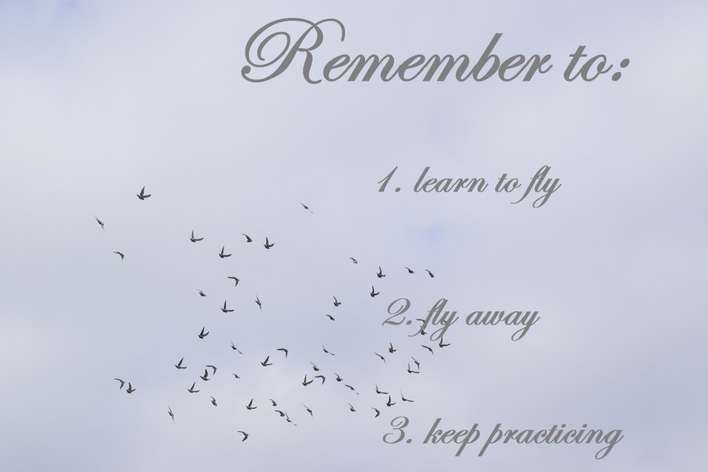 Remember to:
1. learn to fly
2. fly away
3. keep practicing